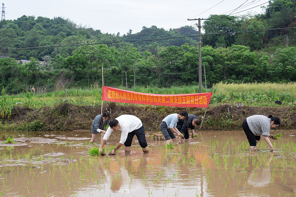 主題黨日創(chuàng)新意 田間地頭鬧春耕